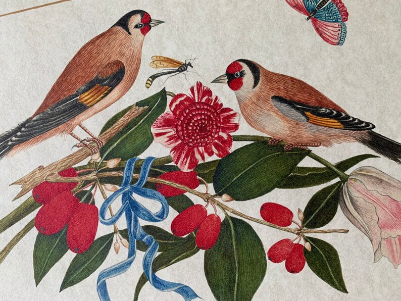 May include: Two red-breasted finches perched on a branch with green leaves and red berries. A blue ribbon is tied around the branch. A pink flower with a red centre is behind the birds. A butterfly with blue and pink wings is in the top right corner of the image.