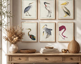 Antique Bird Prints Set | Heron, Flamingo, Pelican Wall Art, Vintage Nature Decor