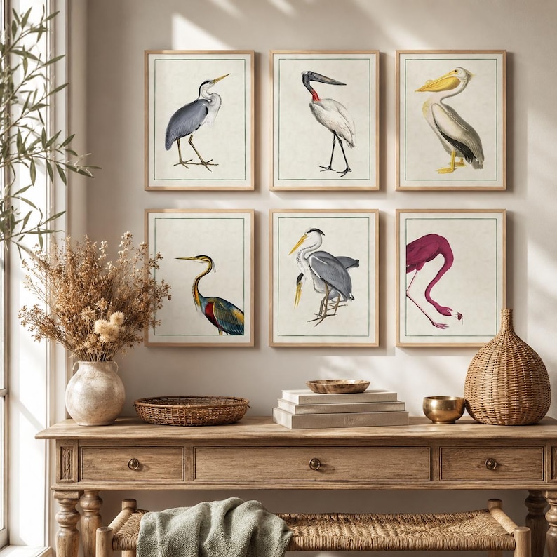 Antique Bird Prints Set | Heron, Flamingo, Pelican Wall Art, Vintage Nature Decor image 1