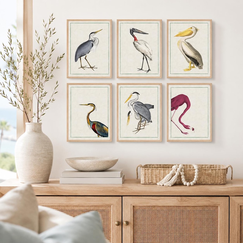 May include: A set of six framed wall art prints featuring detailed illustrations of various birds, including a grey heron, a white stork, a yellow-billed pelican, a tricolored heron, a grey heron, and a pink flamingo, all in light wood frames.