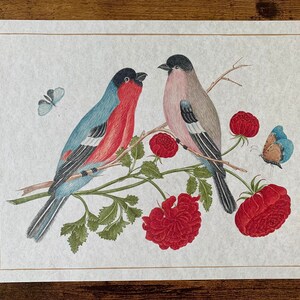 May include: A vintage illustration of two birds perched on a branch with red flowers and butterflies. The birds are a blue and red bird and a pink and grey bird.