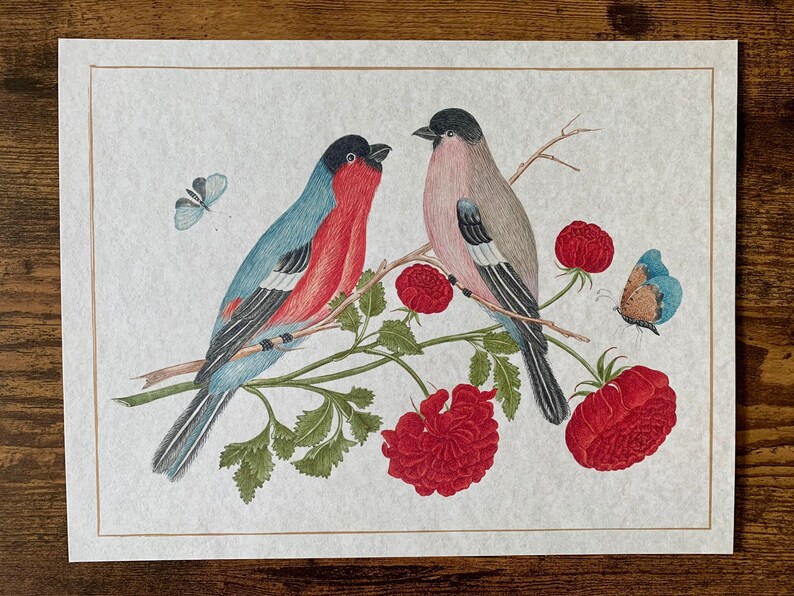 May include: A vintage illustration of two birds perched on a branch with red flowers and butterflies. The birds are a blue and red bird and a pink and grey bird.
