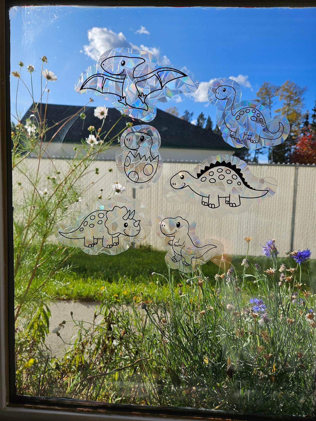 Set of 6 Reusable Dinosaur Suncatcher Sticker, Rainbow Maker, Window