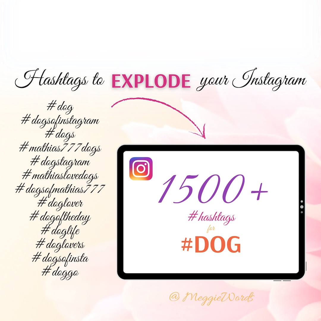 Instagram Hashtags for DOG, 1500 Best Keywords for Instagram Posts