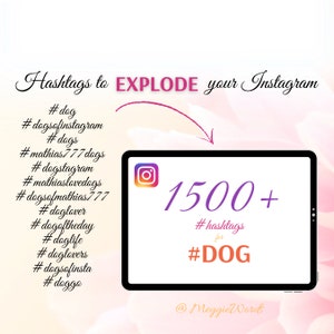 Instagram Hashtags for #DOG, 1500+ Best Keywords for Instagram Posts, Keywords for Dog Online Shop, Social Media Content, SEO for Pet Lovers