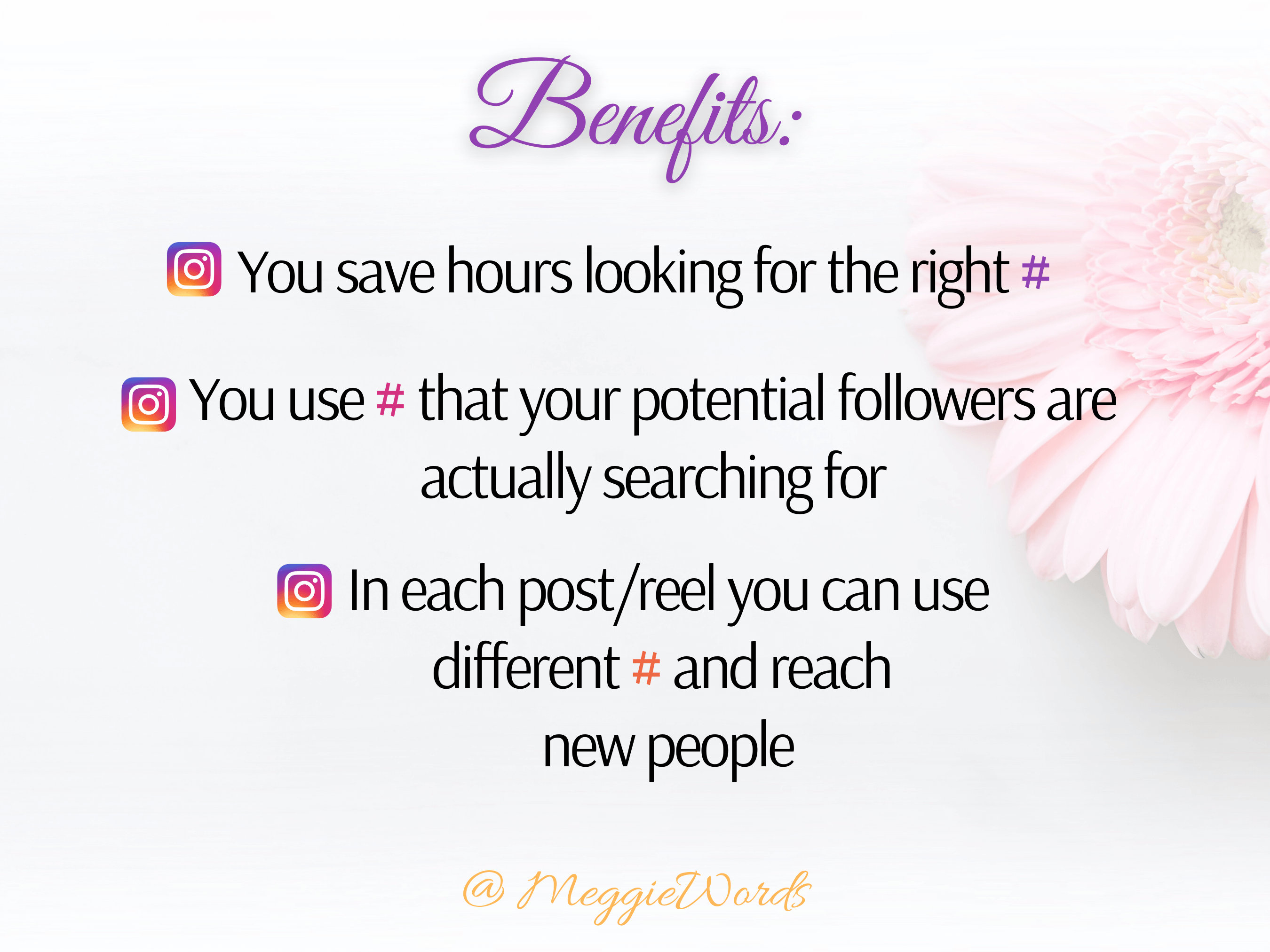 Instagram Hashtags for DOG, 1500 Best Keywords for Instagram Posts