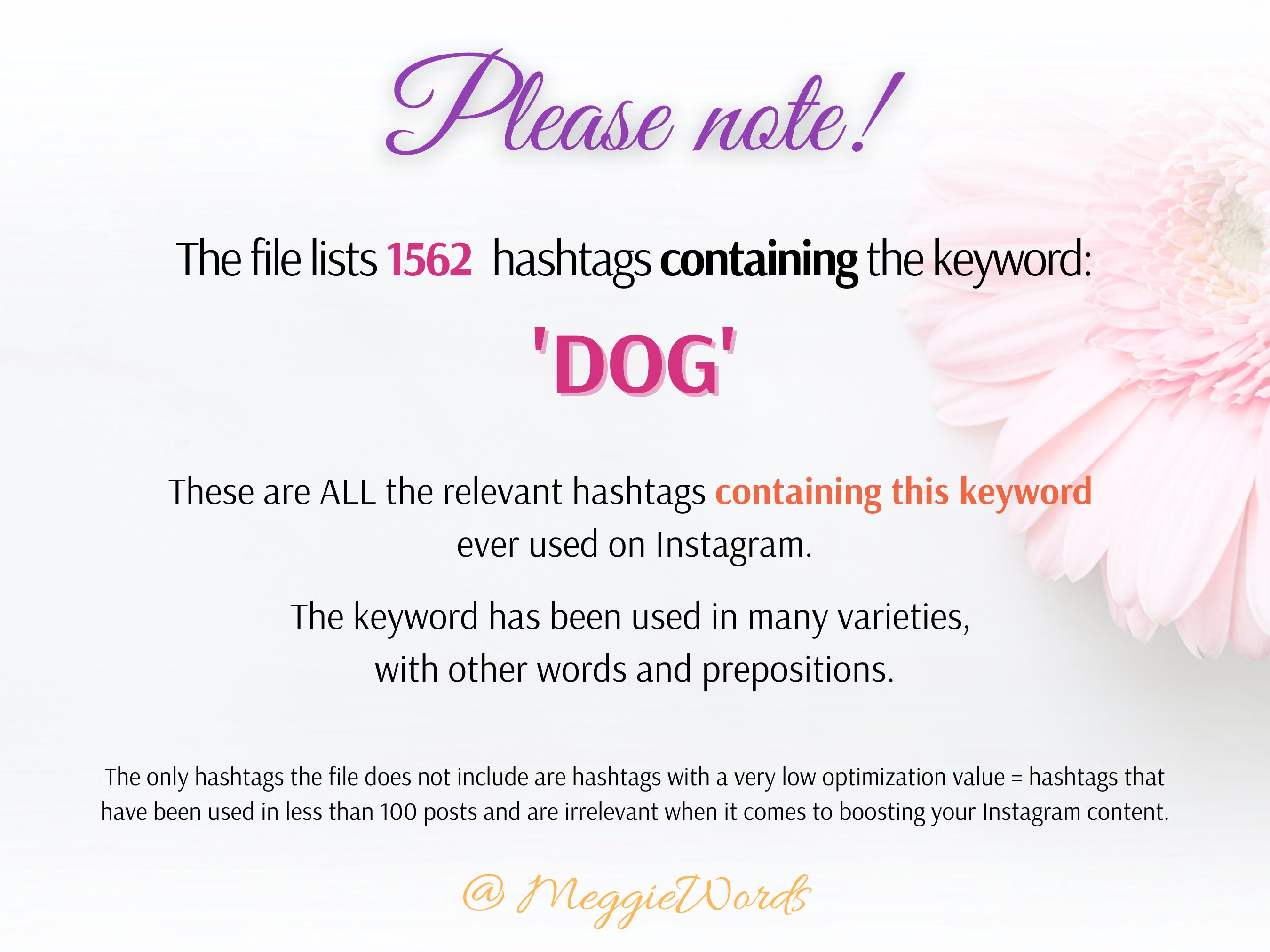 Instagram Hashtags for DOG, 1500 Best Keywords for Instagram Posts