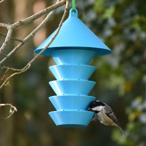 May include: A bright blue bird feeder with a tiered, conical design consisting of five stacked, bowl-shaped levels topped with a wide, protective roof. A small bird with black, white, and grey feathers perches on the lowest tier to feed.