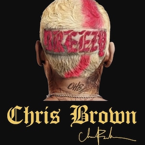 Lot Chris Brown PNG