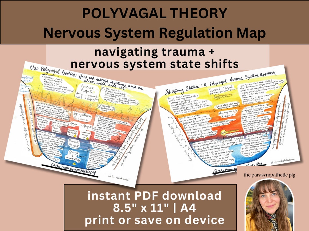 Polyvagal Theory Ladder Map Nervous System Regulation Poster, Trauma ...