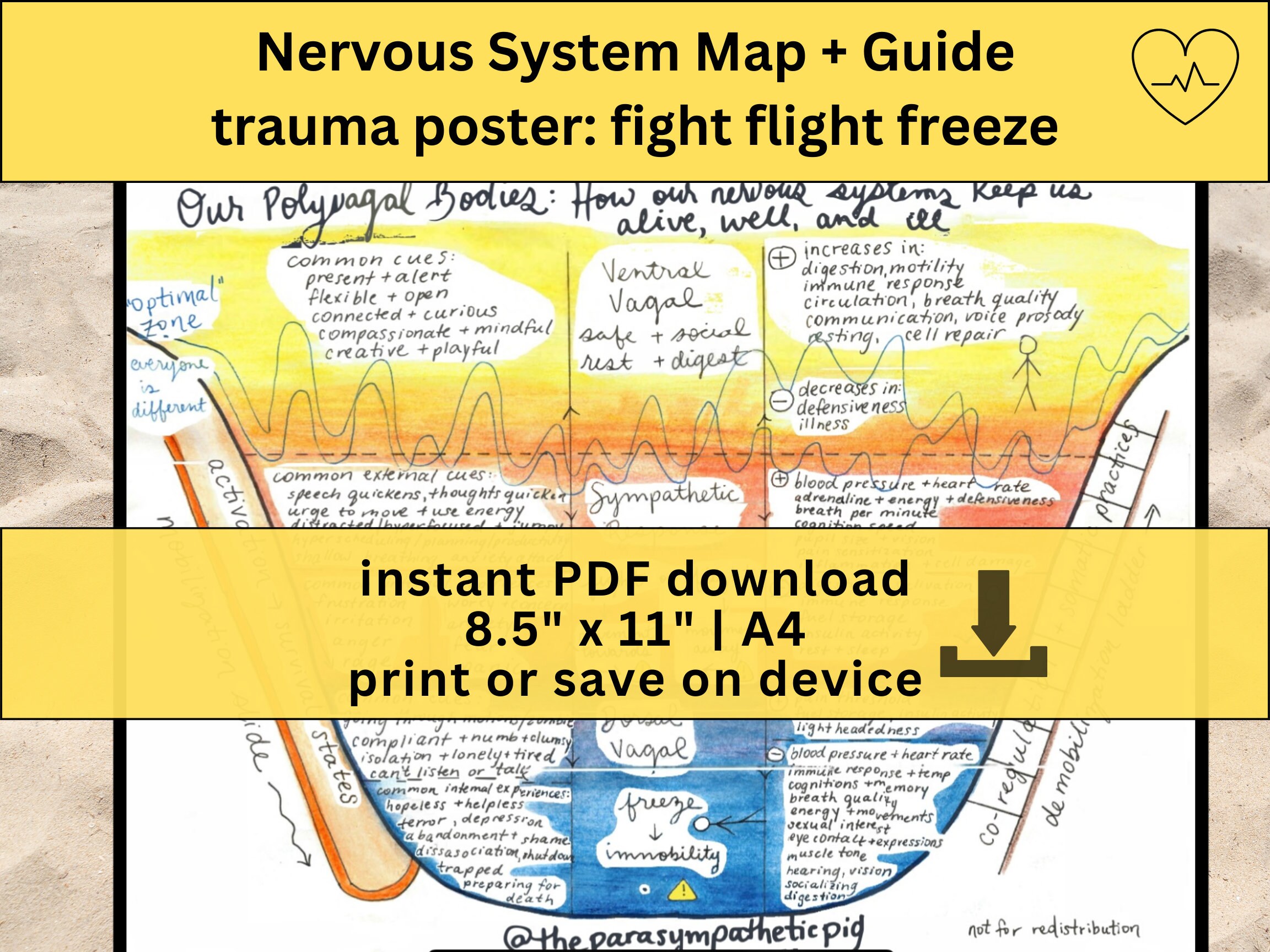 Polyvagal Theory Ladder Map Nervous System Regulation Poster, Vagus ...