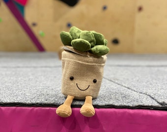 Plant chalk bag (bouldering, climbing) beige