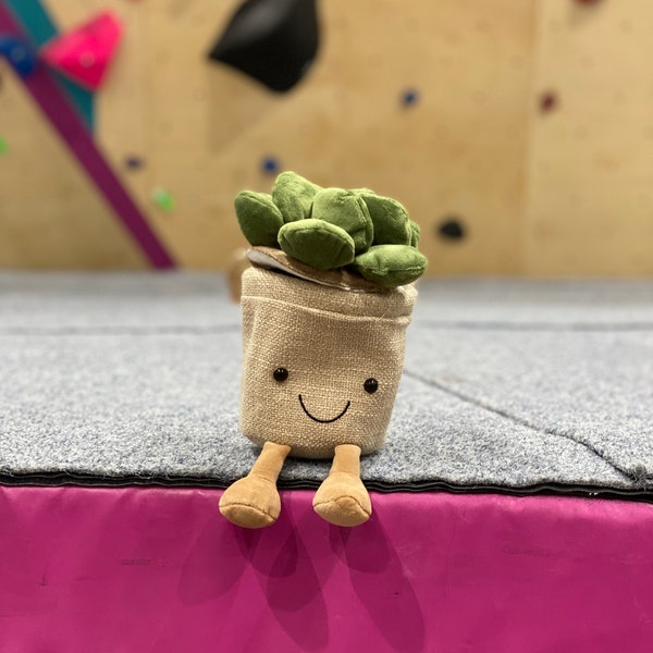 Plant chalk bag (bouldering, climbing) beige