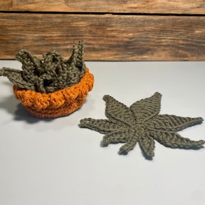 Anyone know what kind of tree drops these miniature pine cones? :  r/marijuanaenthusiasts