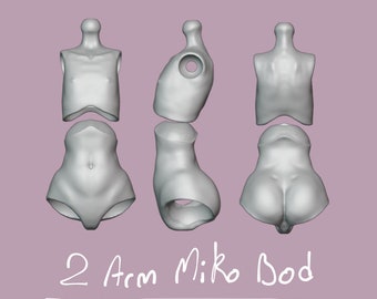 Digital BJD Addon *Alt Miko 2 Arm Bod*