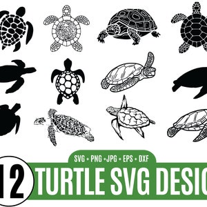 12 Schildkröte Umriss Schildkröte, Schildkröte geschnitten Datei, Schildkröte svg bündel, Schildkröte Kontur, Schildkröte-Monogramm svg, Dateien für Cricut_BD