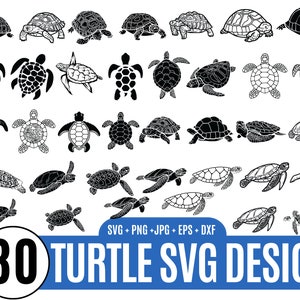 30 Schildkröte Umriss svg, Meeresschildkröte geschnitten Datei, Schildkröte svg Bundle, Schildkröte Silhouette, Schildkröte Monogramm SVG, Dateien für Cricut_BD