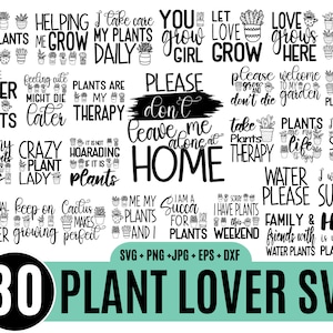 30 Pflanzenliebhaber SVG Bundle, Pflanze svg, Pflanze Zitate, Verrückte Pflanze Lady svg, lustige Pflanze Zitat svg, Zimmerpflanze svg_BD
