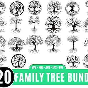 20 Stammbaum-Svg-Bundle, Baumwurzeln-Svg, Baum mit Wurzeln SVG, Familientreffen-Svg, Familientreffen-Svg, Schnittdatei für Cricut geschnitten
