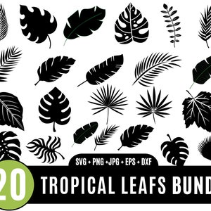 Tropische Palmen svg, Tropische Blätter svg, tropische Party Deko, Monstera Blatt svg, Dschungel Blätter Clipart, Palmenzweig, Palmenblatt svg_BD