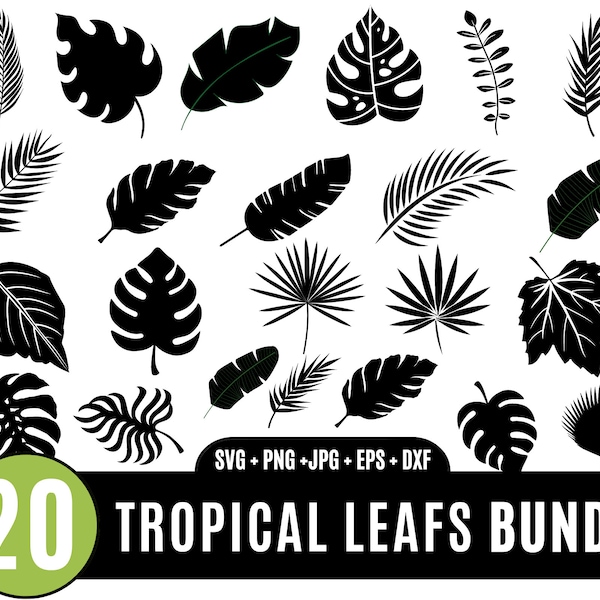 Tropical palm leaf svg, Tropical leaves svg, tropical party decor, monstera leaf svg, jungle leaves clipart, palm branch, palm leaf svg_BD