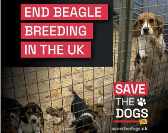 May include: A set of 96 square stickers with a gloss finish, each measuring 45mm. The design features a black background with red text reading END BEAGLE BREEDING IN THE UK and a photo of beagles in a cage with text SAVE THE DOGS UK.