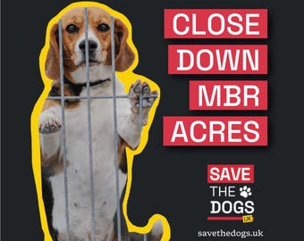 May include: A set of 48 square stickers with a gloss finish, each measuring 85mm. The design features a beagle behind metal bars on a black background with the red text CLOSE DOWN MBR ACRES and the white text SAVE THE DOGS UK savethedogs.uk.