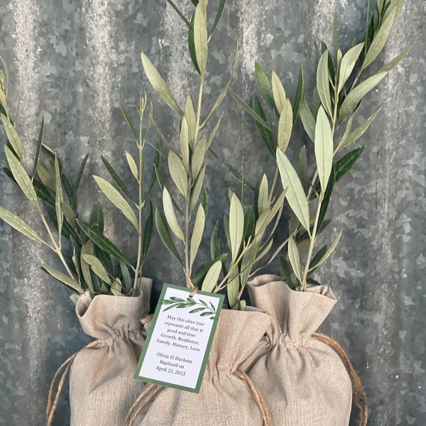 Olive Tree Gift in Burlap Sack