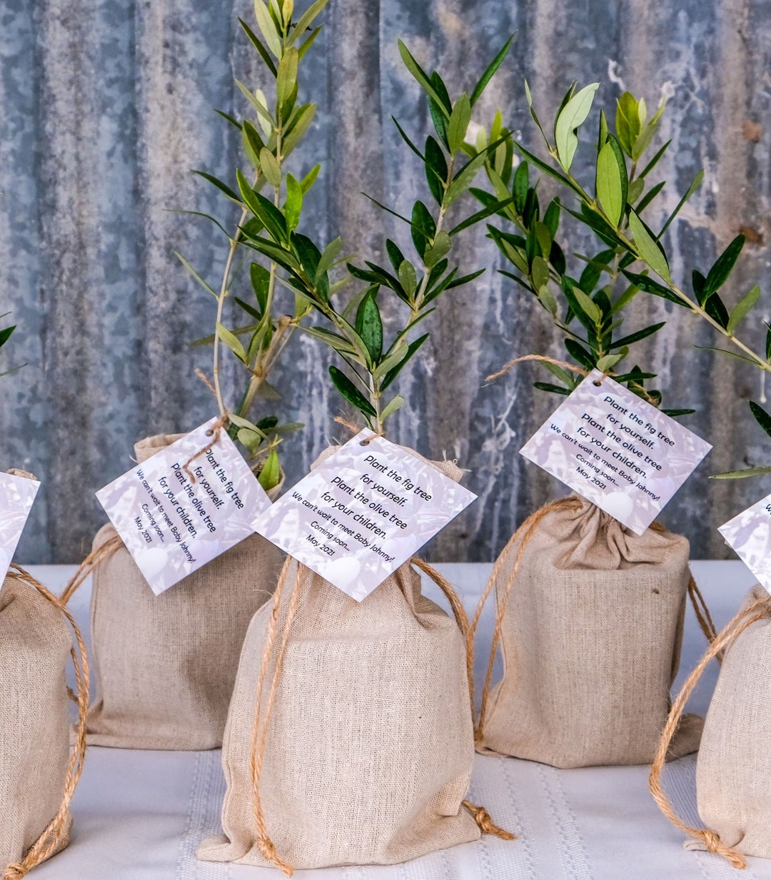 Olive Tree Gift in Burlap Sack Etsy