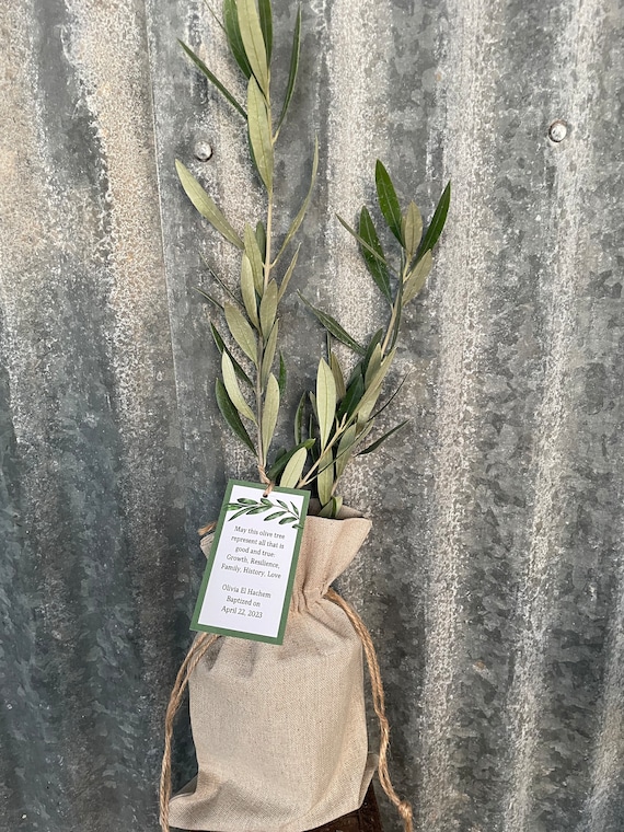 Olive Tree Gift: Burlap Sack, Sacred Tree - Etsy.de