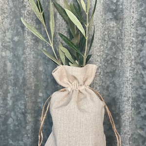 Olive Tree Gift in Burlap Sack, FREE SHIPPING