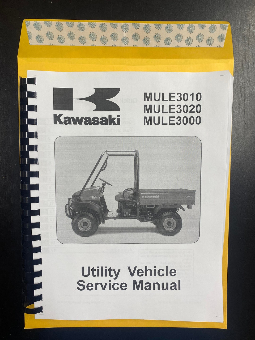 3000 3010 3020 Side by Side Gas 20042008 Factory Repair Etsy