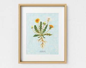 Dandelion Botanical Art Print 8x10 - Plant and Flower Mixed Media, Herbal Wall Decor