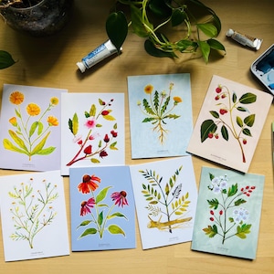 Conjunto de 8 cartões de felicitações e envelopes da série Herbal Allies Botanical Art - Plantas e flores, mídia mista