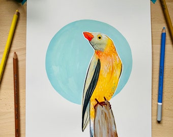 Original Gouache Bird Painting - Oxpecker (Number 4)