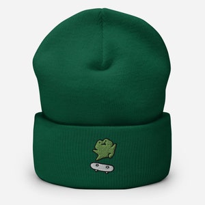 Skater Frog Embroidered Cuffed Beanie