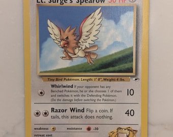 pokemon cards atlanta Buying Rare Vintage Pokemon Cards at Atlanta Collect-A-Con! (Feb 2026)