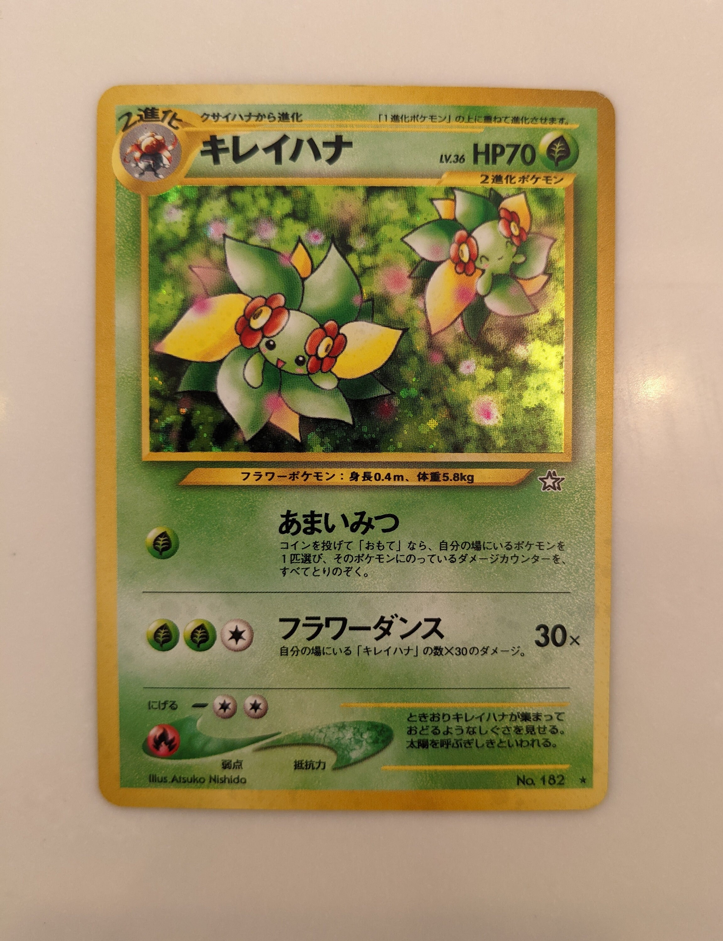 Japanese Bellossom Etsy