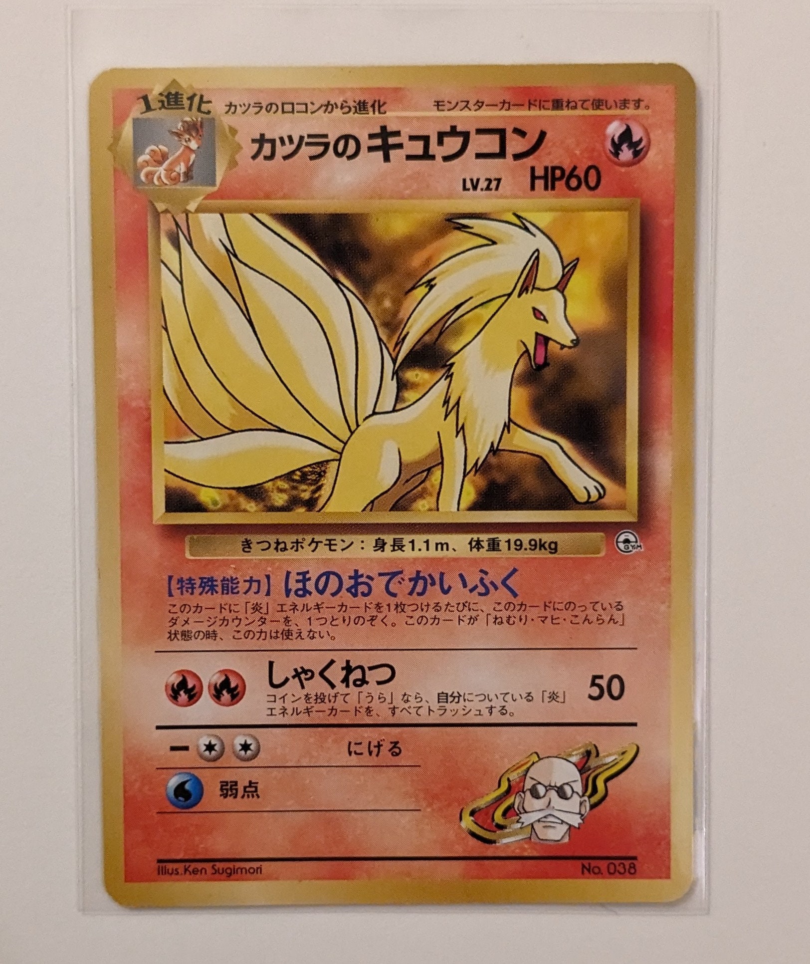 do japanese size sleeves fit pokemon cards Jumbo L Oversized Card Sleeves (50)