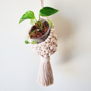 May include: A white macrame plant hanger with a cream tassel. A small green plant is growing in a clear plastic pot inside the hanger.