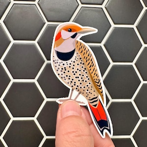 Northern Flicker Sticker: Weatherproof Vinyl Woodpecker Decal