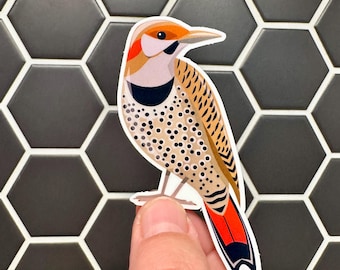 Northern Flicker Sticker: Weatherproof Vinyl Woodpecker Decal
