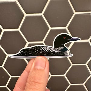 Common Loon Sticker | Bird Sticker | Loon Sticker | Common Loon | Ontario | Ontario Bird | Ontario Sticker