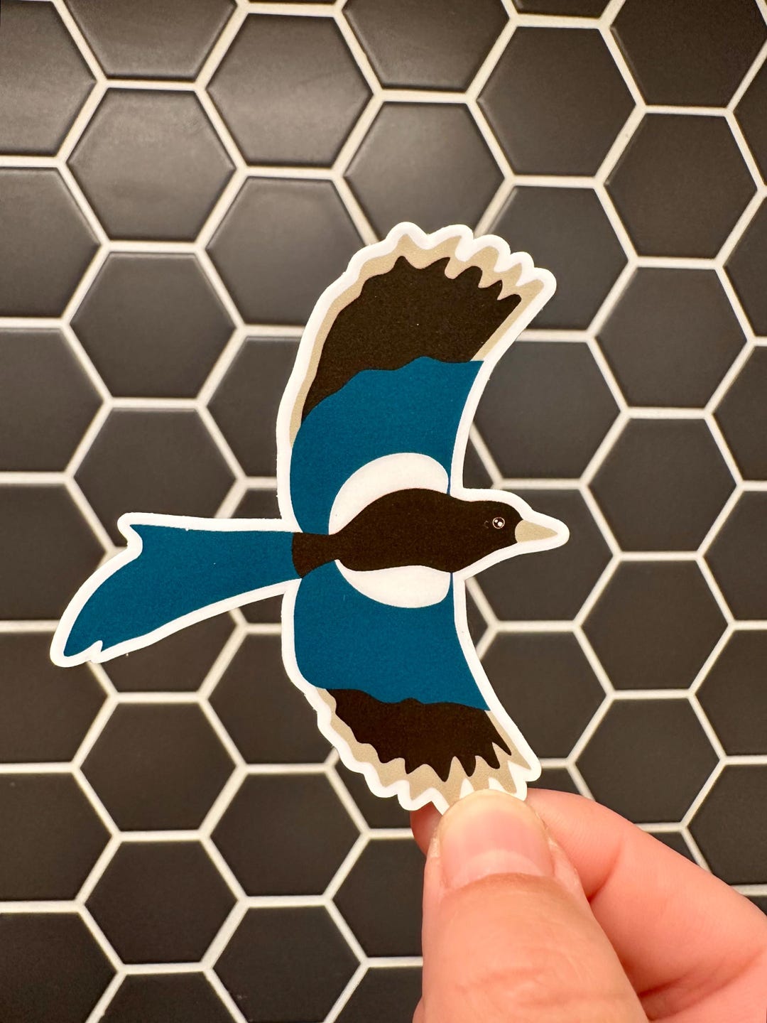 Black-billed Magpie Sticker: Vinyl Bird Sticker - Etsy