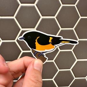 以下が含まれることがあります： 黒、オレンジ、黄色い羽毛を持つカラフルな鳥が茶色の枝にとまっているステッカー。鳥は黒い頭と白い輪郭をしています。ステッカーは、濃い灰色の六角形のタイルの背景に対して保持されています。