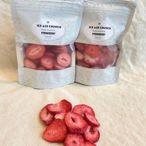 Freeze Dried Strawberries