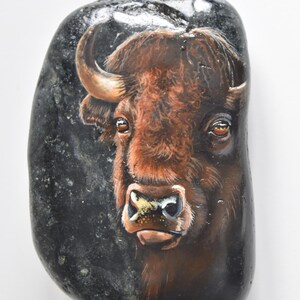 May include: Hand-painted rock art featuring a detailed portrait of a bison. The bison has brown fur, dark eyes, and curved horns. The rock is dark gray with a glossy finish. The artist's signature is visible.