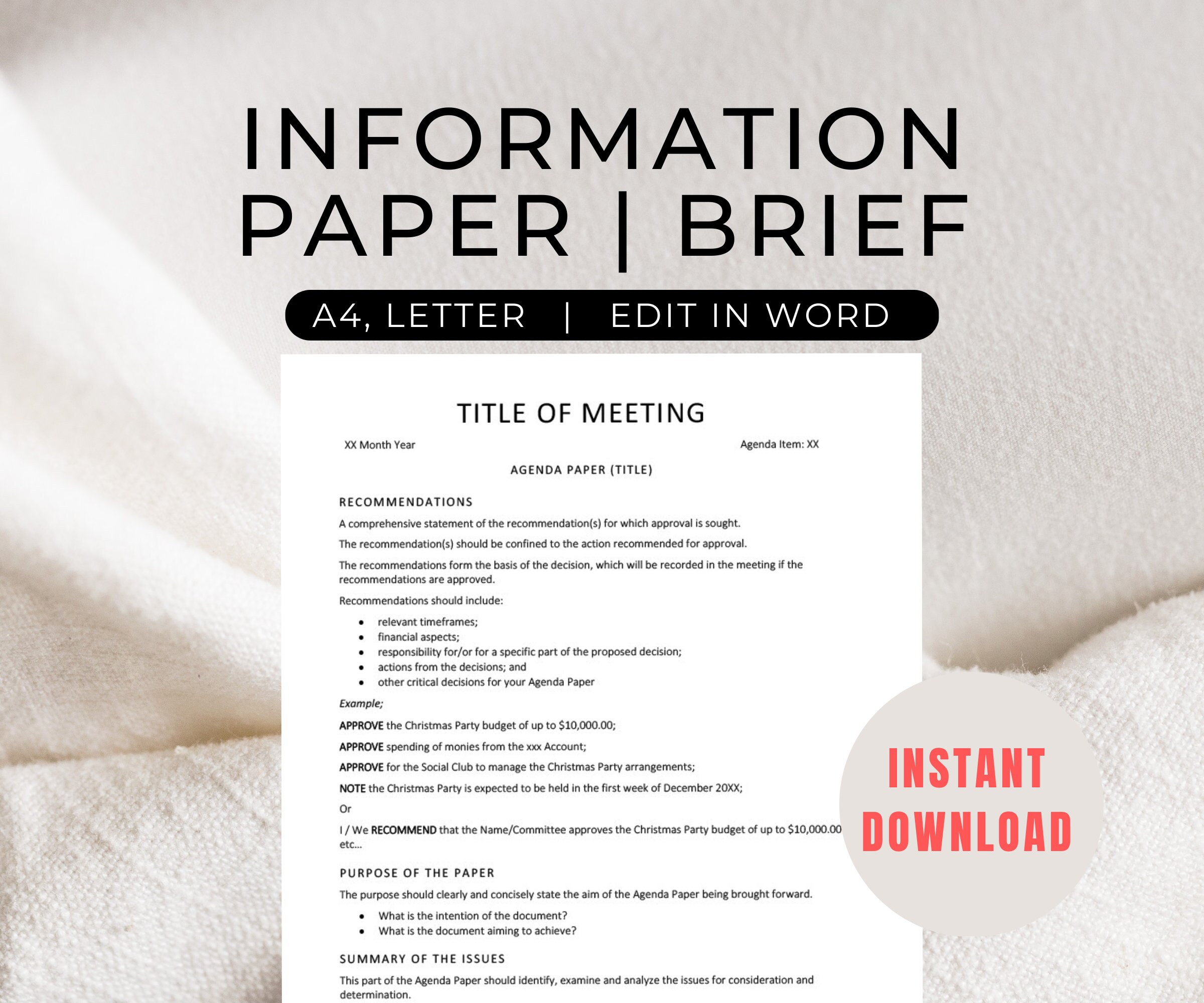 Briefing for CEO, Manager, Executive, Information Brief, Word Template