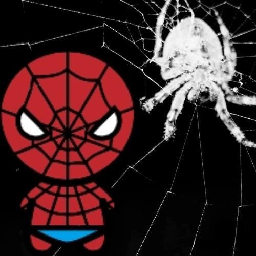 レッド トビー・マグワイア スパイダーマンマスク - シルクスクリーン