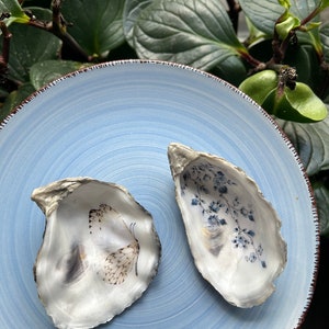 Puede incluir: Dos conchas de ostra pintadas con diseños delicados. Una concha presenta un patrón floral azul, mientras que la otra tiene una ilustración de mariposa en blanco y negro.